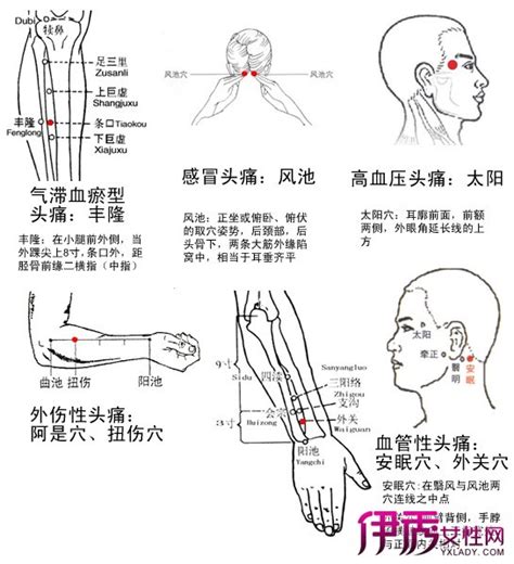 中平穴|中平的准确位置图片及作用